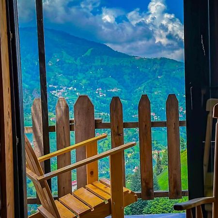 Golden Paws Guesthouse Catalca Bagian luar foto